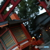 和が魅せる彩り（SAI）