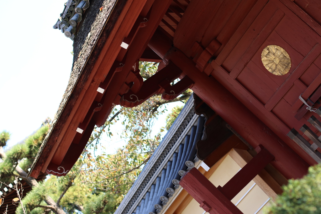 和が魅せる彩り（SAI）