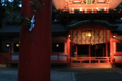 和が魅せる彩り（SAI）