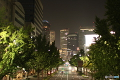 彩りの夜会