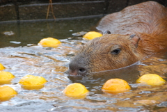 気持ち良さそうね。