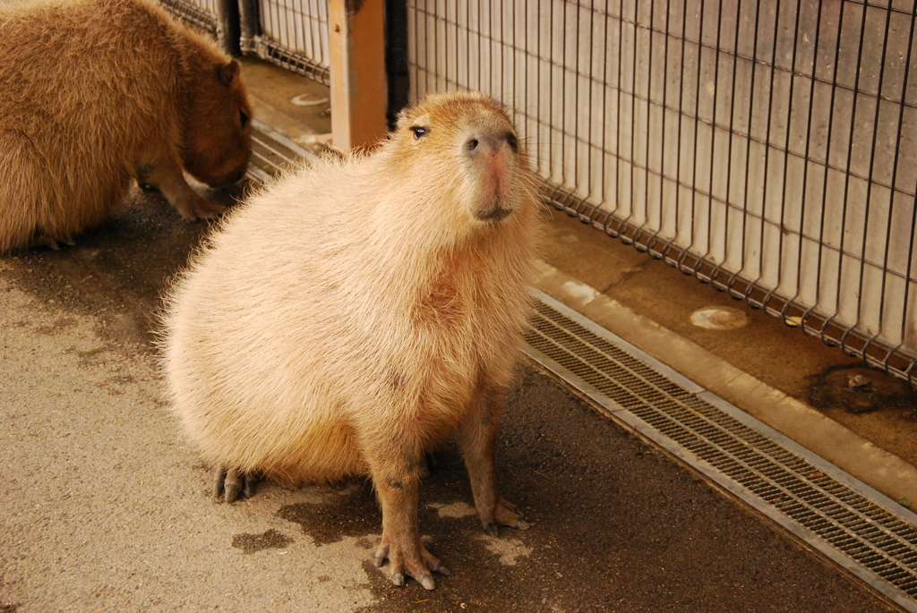 ふんふんふん♡