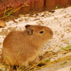 ちょっと、ぼーっとしてるよ。