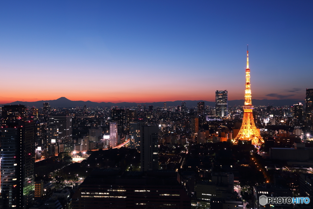 東京タワーの夕景