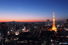 東京タワーの夕景
