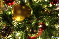 丸の内のクリスマスツリー