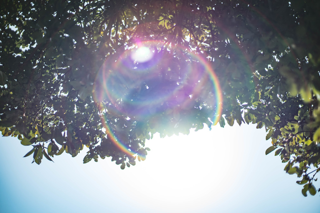 葉空