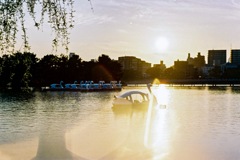 大濠公園