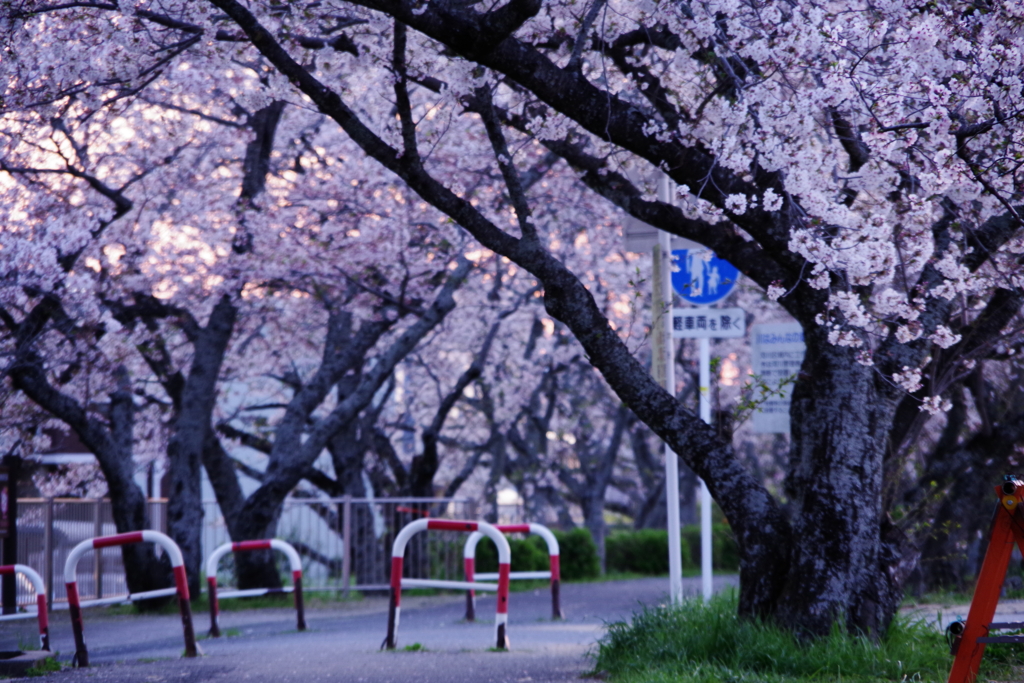 早朝の風景