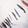 5月ですね