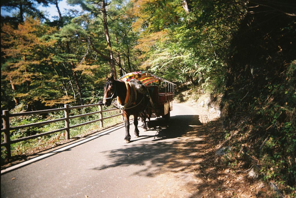 馬