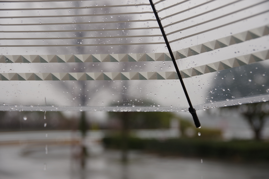 雨降りと傘と公園と