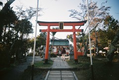 山頂の神社