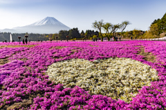 富士芝さくらまつり