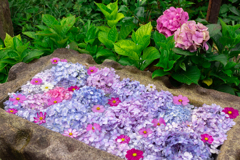 般若寺_花手水