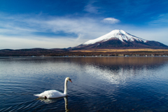 湖畔と富士