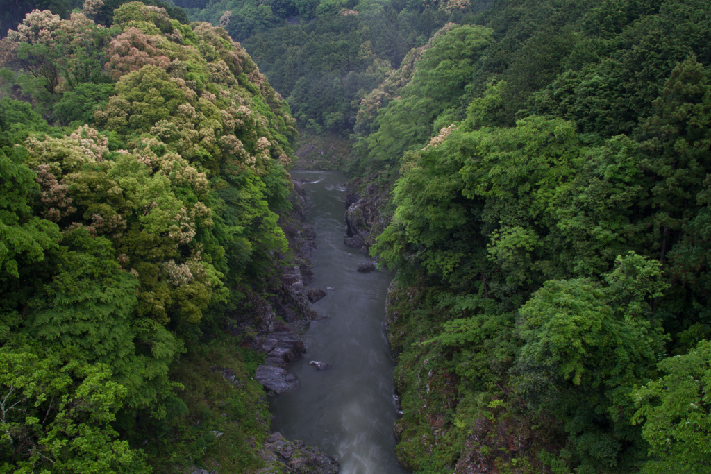 新緑の渓谷