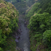 新緑の渓谷