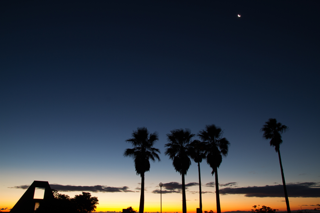 Moon