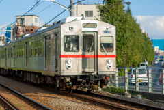 IMGP2181