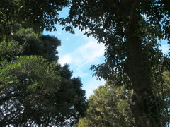 空