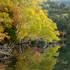 オンネトー湖の秋