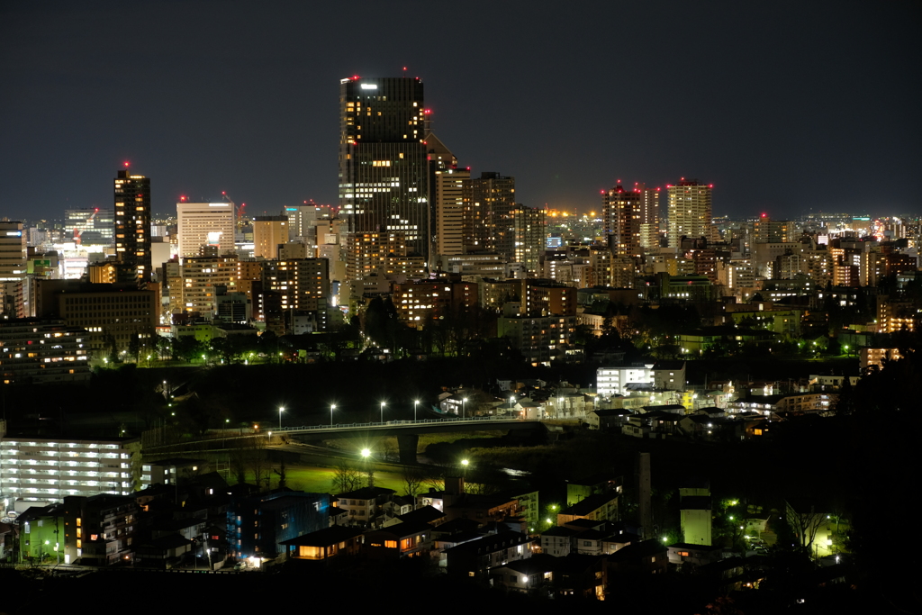 仙台城址の夜景その３
