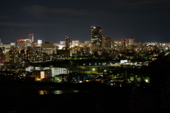 仙台城址の夜景その２