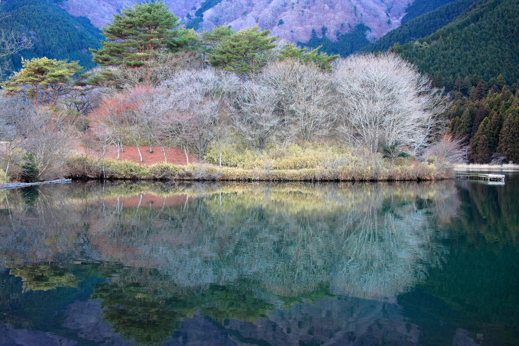 湖畔で