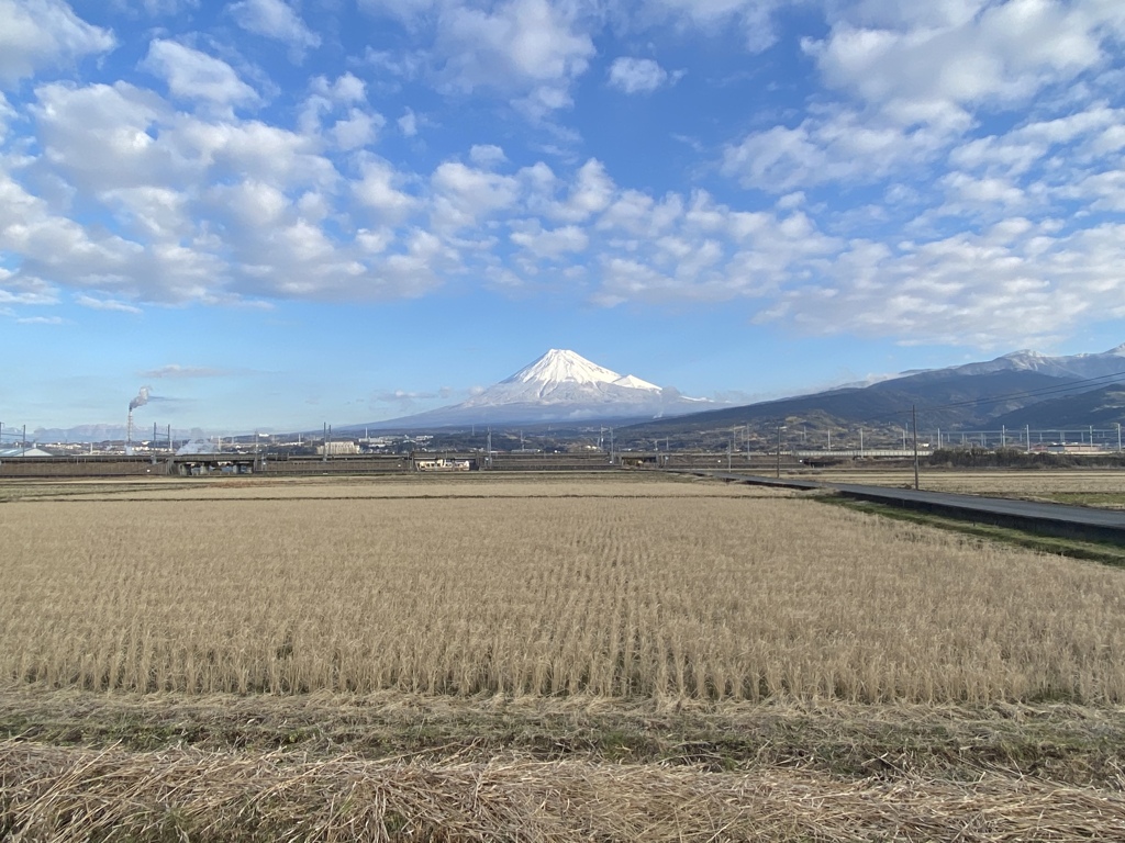 いつもの場所から