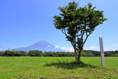 朝霧高原