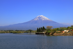 春の田貫湖　Ⅱ