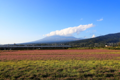 富士と蓮華と新幹線