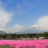 富士と芝桜　2