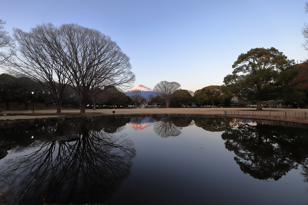 ２月　公園　富士　1