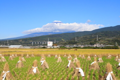 秋の田園