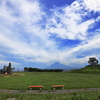 灼熱の公園