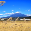 晩秋の富士
