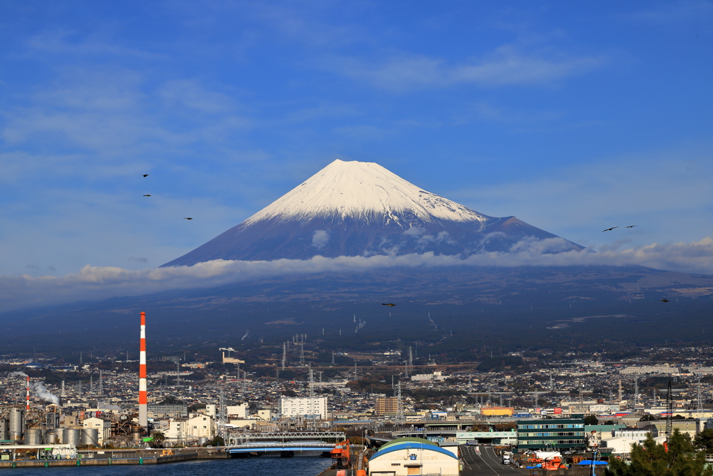 らしくなった富士山