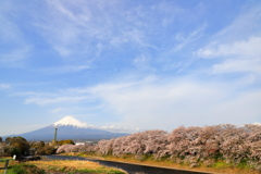 龍巌淵の桜　Ⅲ