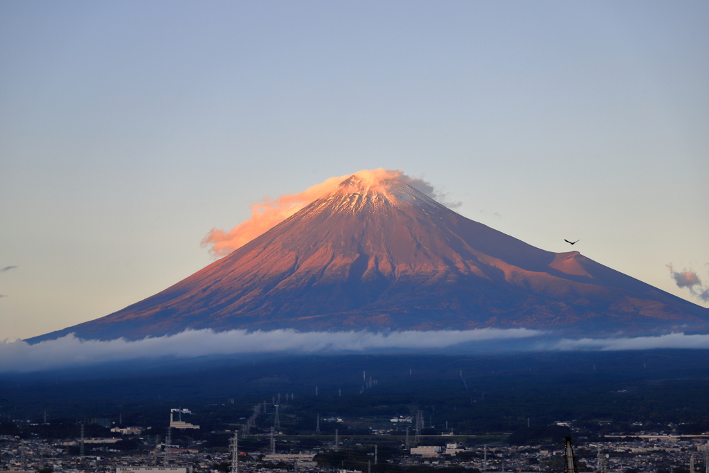 富士と港の見える公園　3