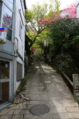 修善寺景　５