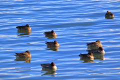 みんな熟睡中ｚｚｚ、、、。