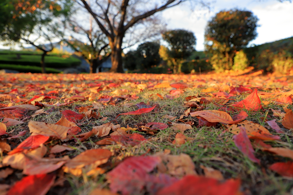 ちょっと　センチメンタル