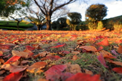 ちょっと　センチメンタル