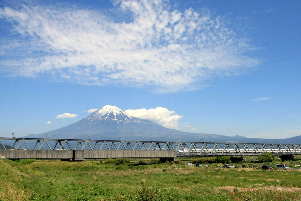 五月の富士川河川敷　４