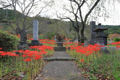 赤い参道　Ⅱ