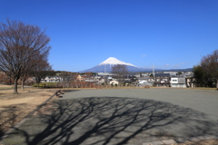 12月のある公園にて