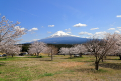春富士　Ⅱ