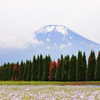 花の都公園